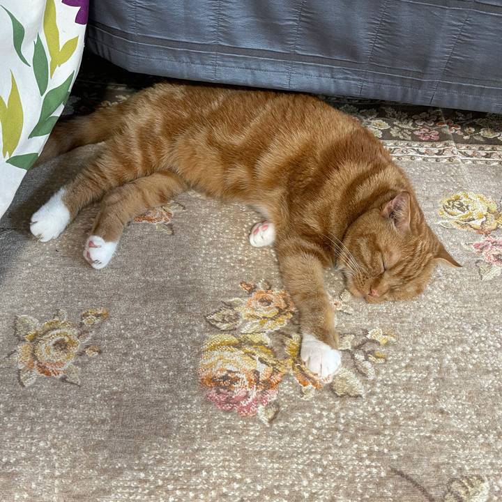 7402a519 c231 4300 b021 c409dee14627 1623552773043