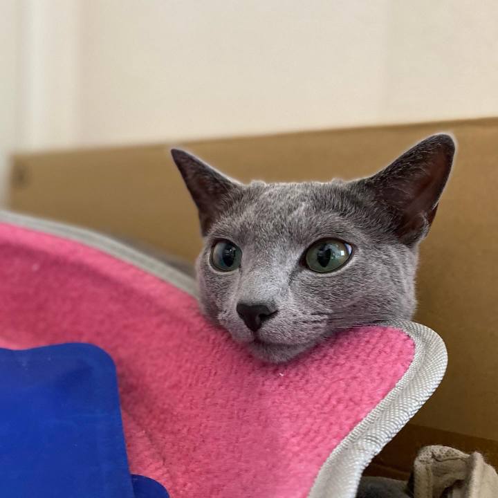 7402b591 b580 4081 a33d b131e8cf4103 1660105977199