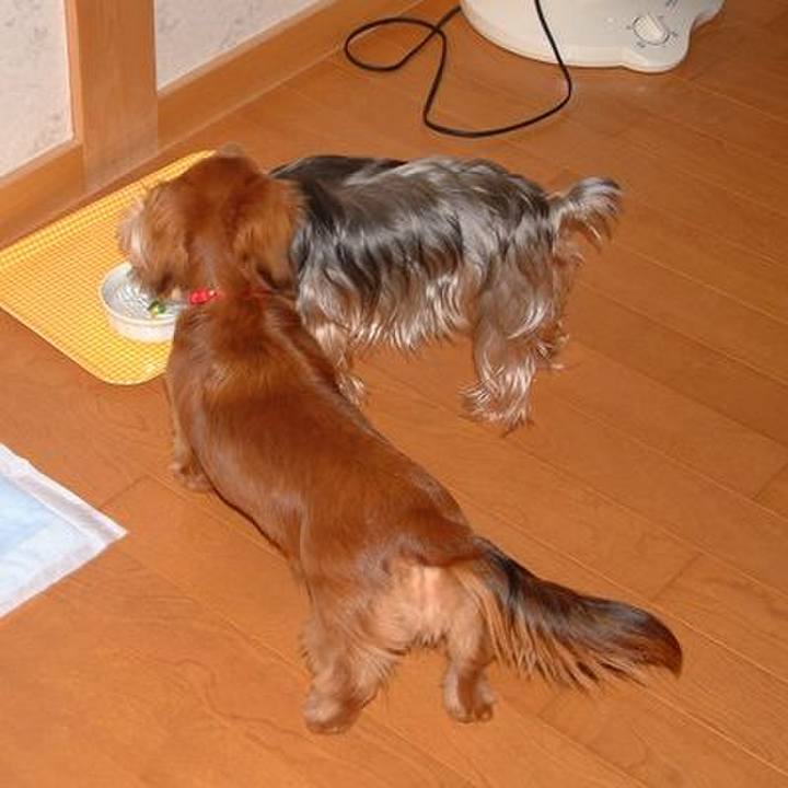 74032091 ec8e 4b2f b4c8 7d72facd63e3 1525871063018