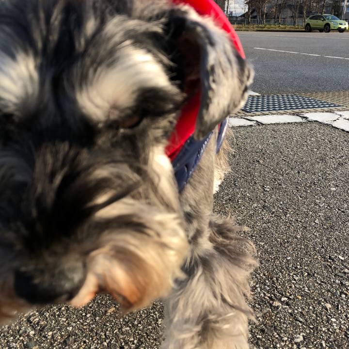 74032e63 67bc 4ea9 846d 8714b640b804 1577972706109