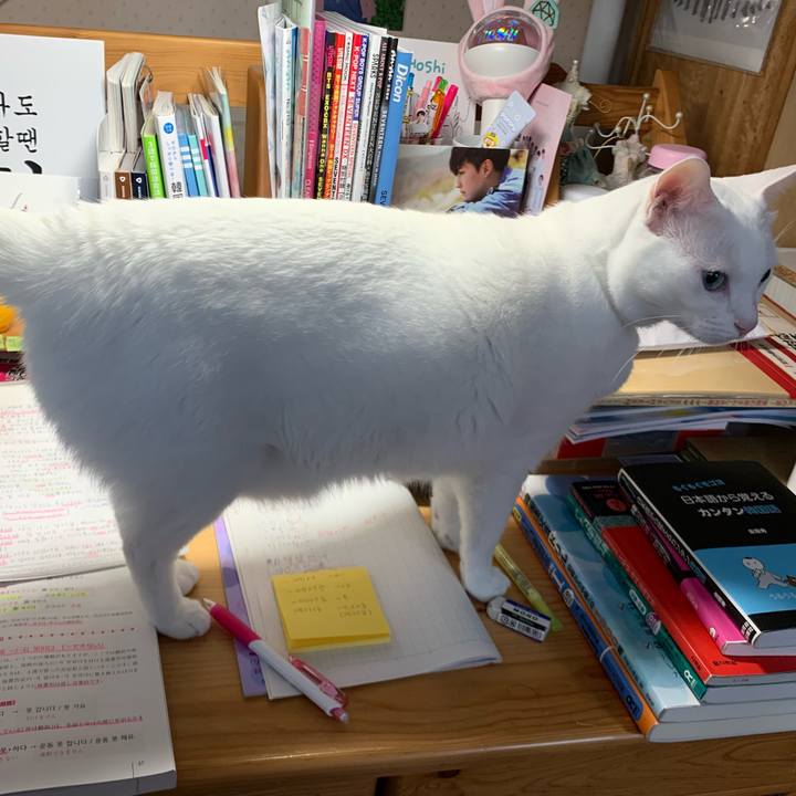 7403d7bc 3dbc 44c5 88e2 077793249408 1572825753483