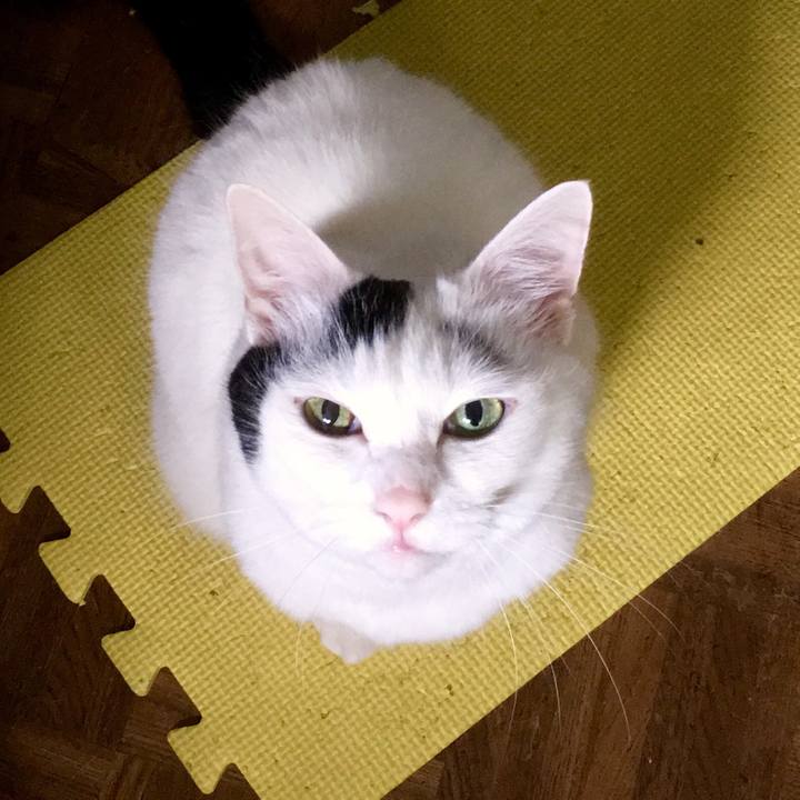 7403ee33 98b8 47b0 9d62 72339bb40b64 1561431716812