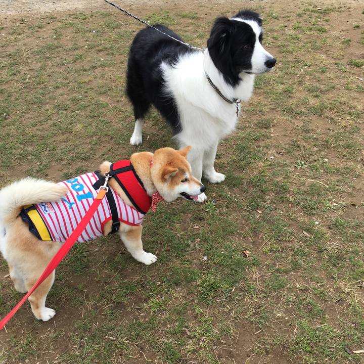 7404642e c5a9 4577 9d9c 70c4857fe208 1585285875761