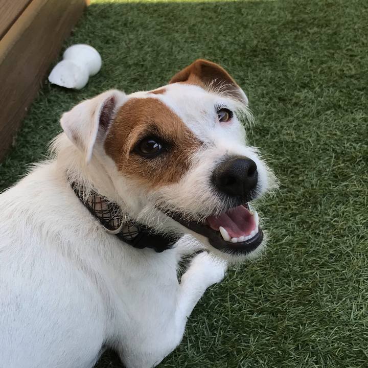 74048ab5 aeac 4dae 99f8 e4393a6e3f93 1539303702211