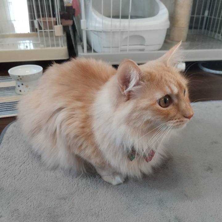 7404c29b 8902 4e5b 9cfe 7b5e3e4a0df3 1646900873148