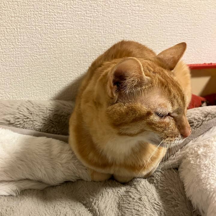 7404c9d5 b505 4f46 82a3 d30f670d37ba 1770462276982