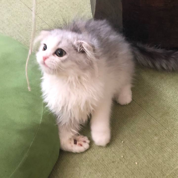 7404cf2e 02a7 40b3 bb03 12189ed3105c 1596929138134