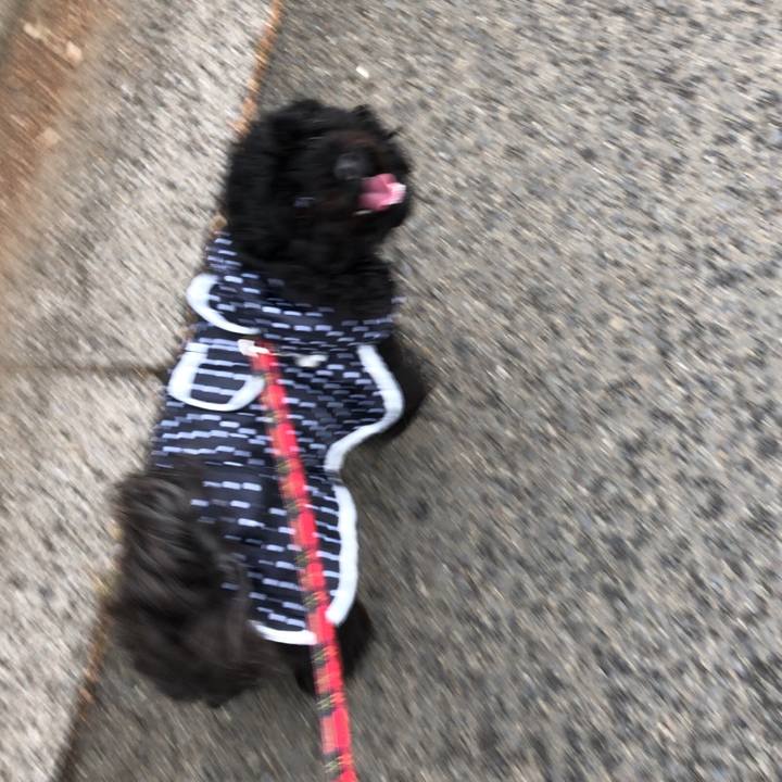 74050ee2 aa54 4297 afb6 dac584e0d52c 1539582233715