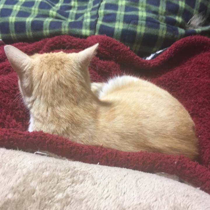 74056caf 3b7d 4d1f 8a8d a4daa711fbcc 1524867092368