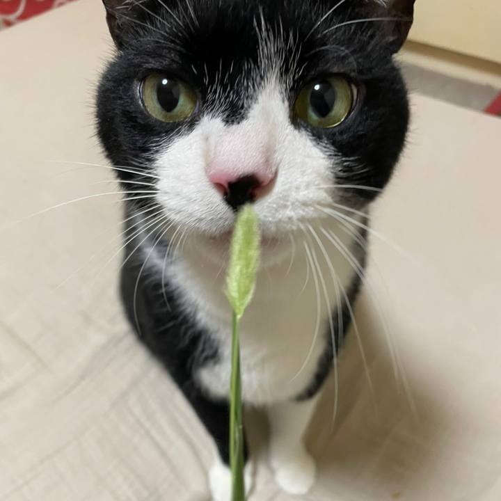 7405a6f7 e354 4e5b a30b 16ec871b48d9 1625577035888