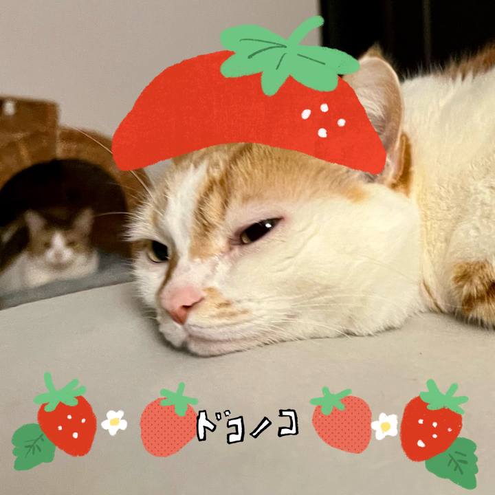 7405f059 a646 4090 9863 8737fed9c2bd 1775791920672