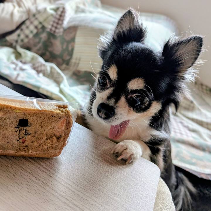 7405f3d2 a48d 4053 9008 1df773c11dc3 1771042113838