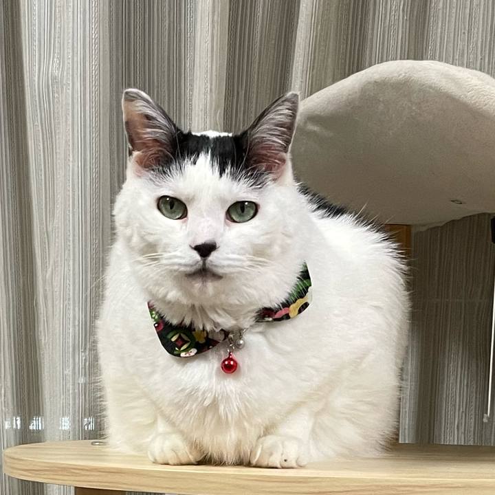 740606db 0cfd 4763 825d 8cb4baab9902 1647684727828