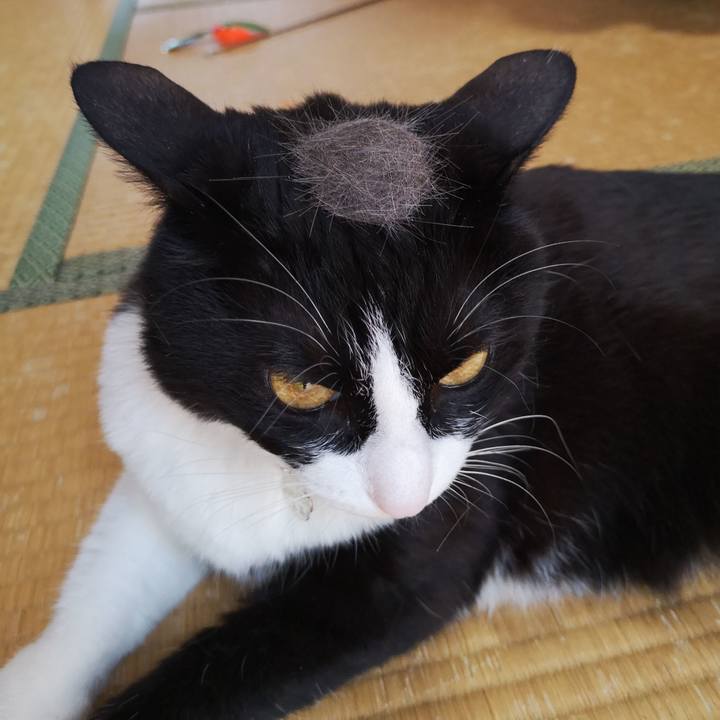 74063491 faf0 4d00 bb72 fd0ecb649289 1590413864673