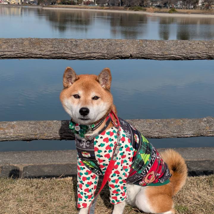 740638d0 ca8b 4d30 8716 0184b289551c 1733922288269