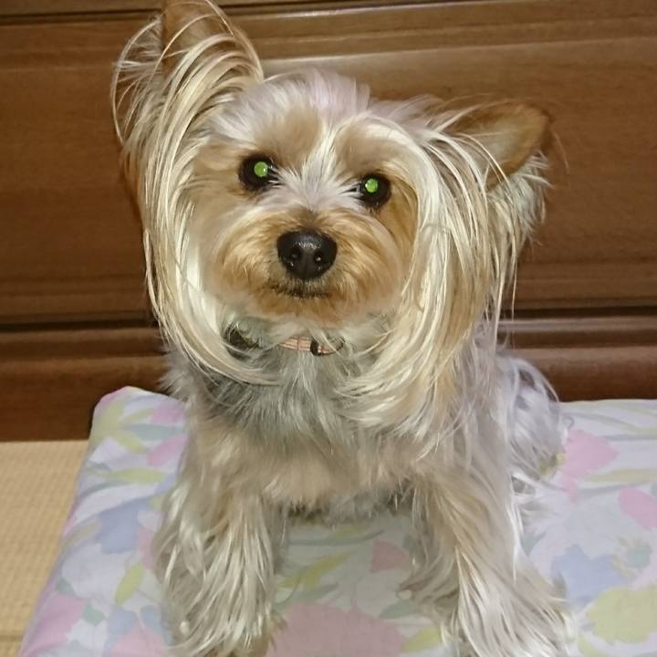 74065159 952f 4233 aafb 8524097b16e6 1556670077286