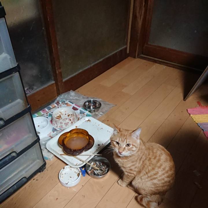 740653e4 d7c2 43d6 a3db a34f759c6e7c 1637613173857