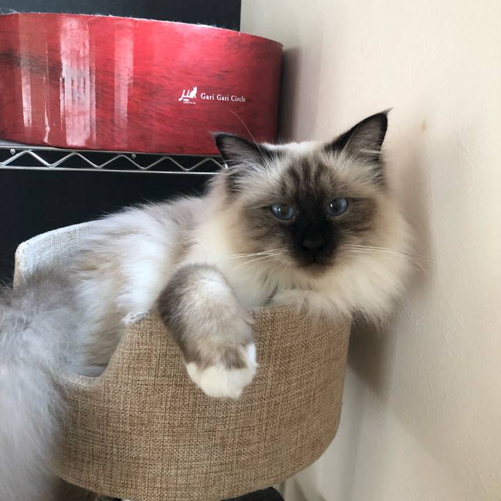 74067cb8 6e06 42f1 b5ee 60527d923a96 1541922304739