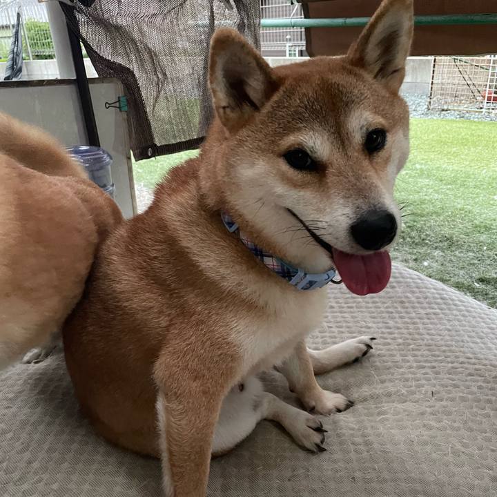 74067ddd 96da 44e4 b05b 96cb0f897f1b 1766169894350