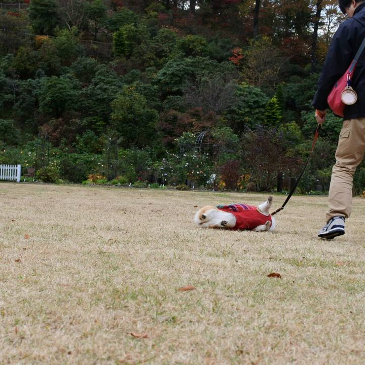 7406d46e f33e 4a2f 8d13 8005ebd6d074 1509853758175