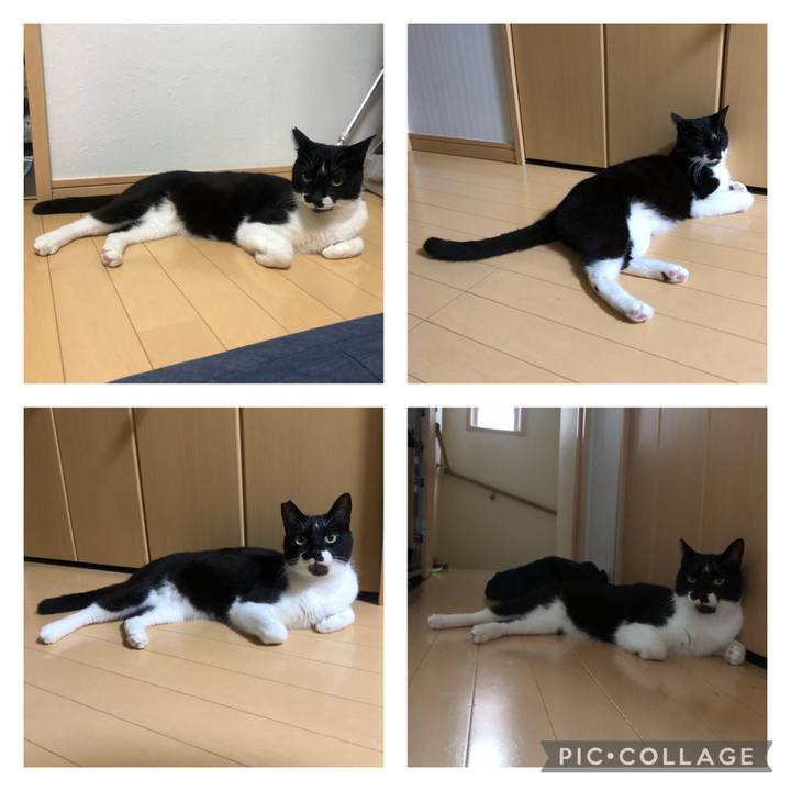 74077351 cc25 4ff2 8f77 6f51888f3395 1621265495927