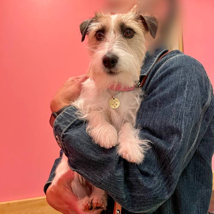 74077e34 0e3b 46c2 9319 e39eeec29347 1648466296369