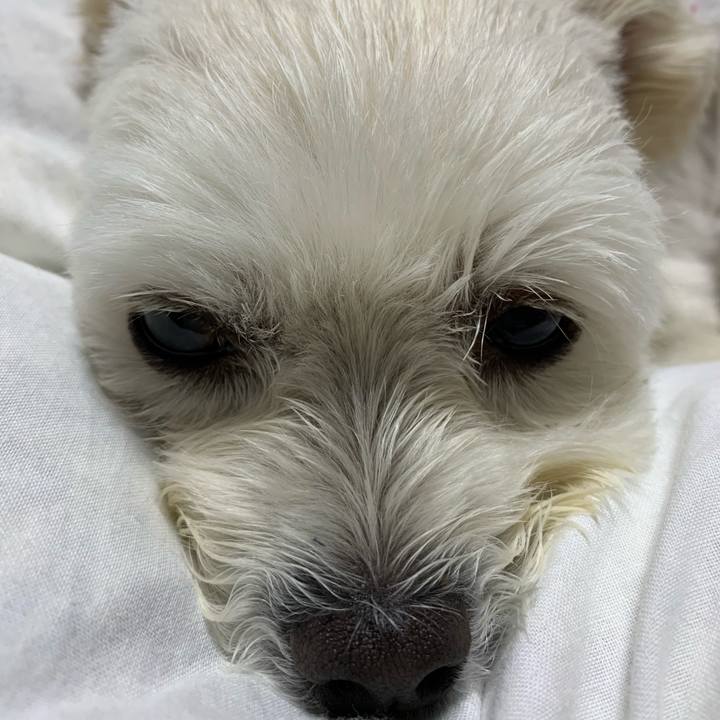 740780cb 8884 466e a363 7a31924abc19 1571482744745