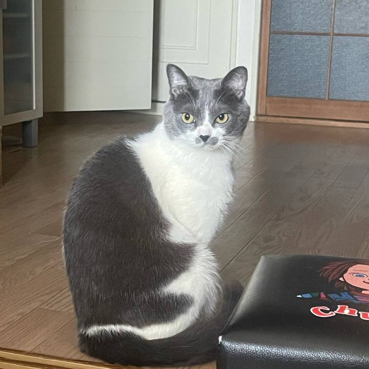 74080231 603c 48cd a602 c922384ee166 1740126552318