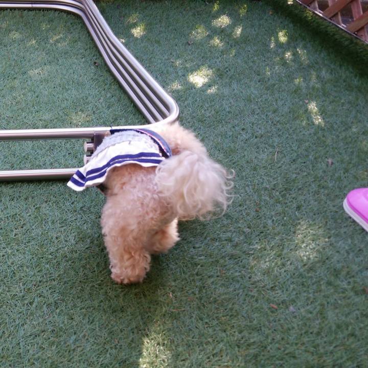 740823cf 43c0 4407 9f93 5102e7be7fb0 1542342086489