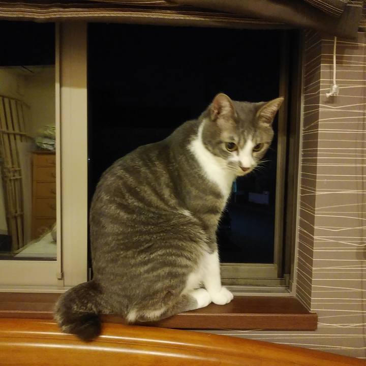 74084717 801f 41cb a264 38e1e63fb38d 1588512849068