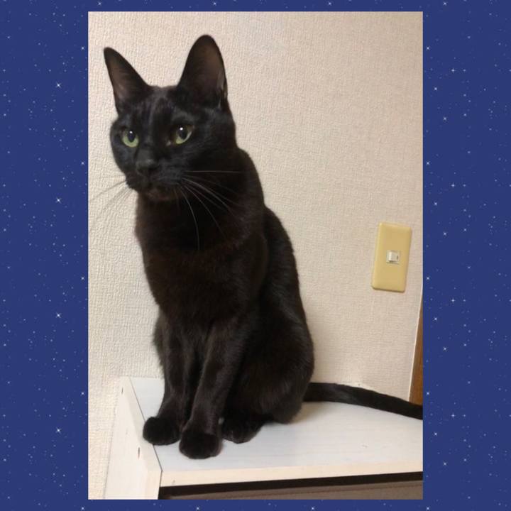 74085bfc a18e 432a a844 5681e7e79ef7 1742302668759