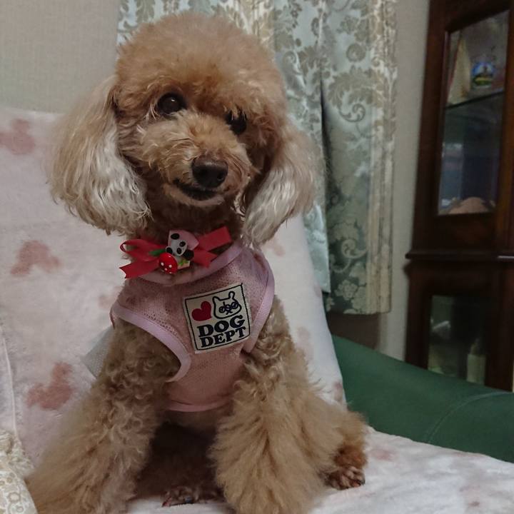 74087c2e 11e0 4d26 a098 7fbdb3b42151 1600690682153