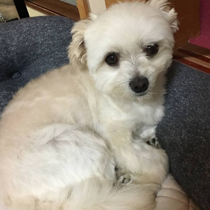 74088af2 082a 4de8 aeee 560dfbe9ede9 1562149785837