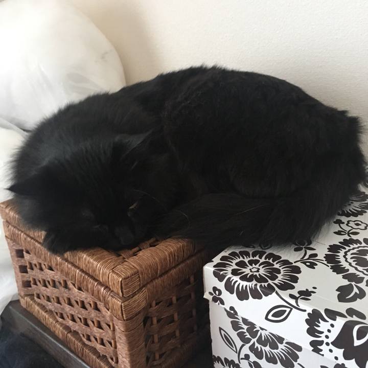 7408ae60 73ef 4b3e a7c1 df8625197008 1544316996357