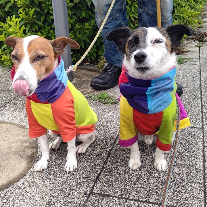 7408ca12 ed86 49c6 acad 9a57a68577ad 1717975118887