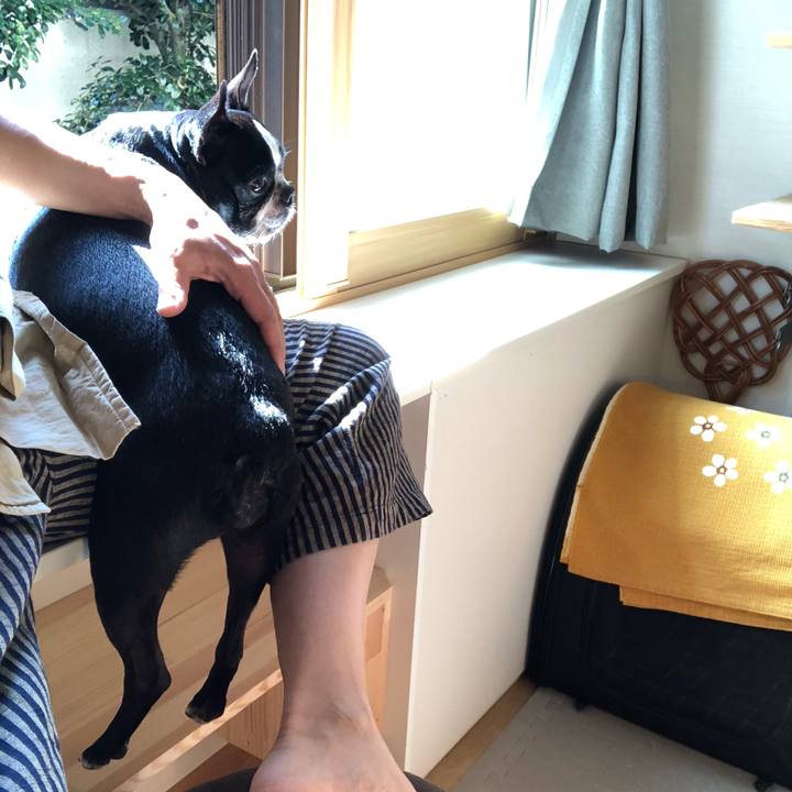 74092f9b 1548 4396 a118 d34e59123e7f 1654323357964