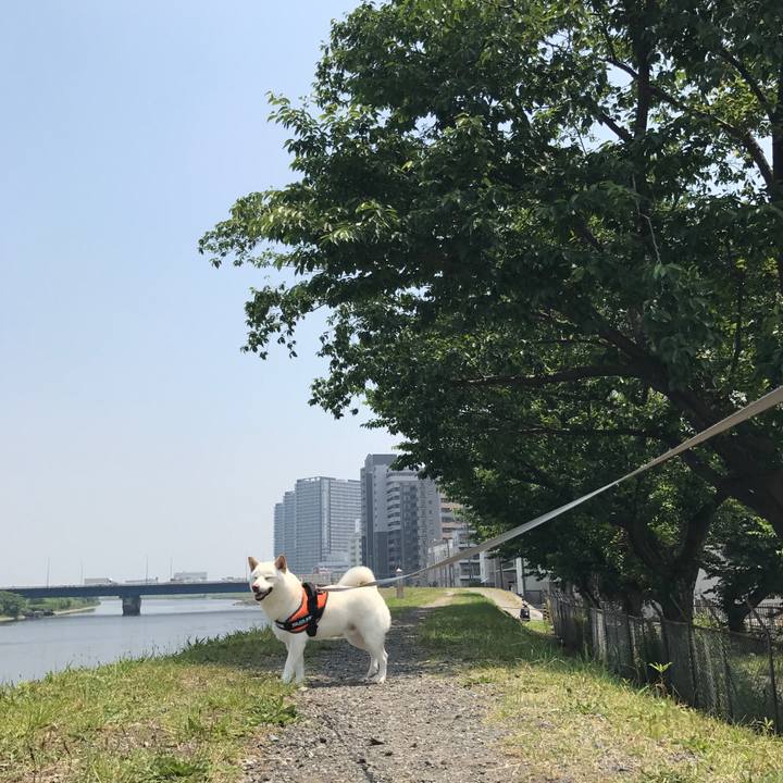 740977cc 4846 4f7b b67a 7efefdf33030 1527388469422