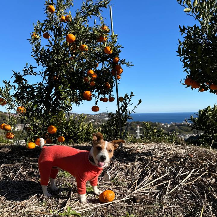 7409b91e 984f 4eab bc42 e933ff3d2bb1 1768199276531