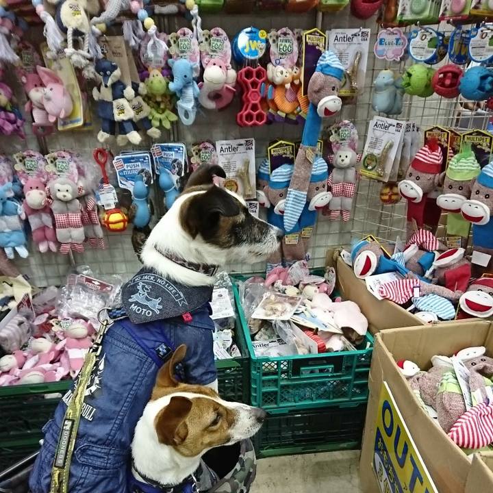 740a7e96 bd06 485d b091 85c10f499489 1525580384576