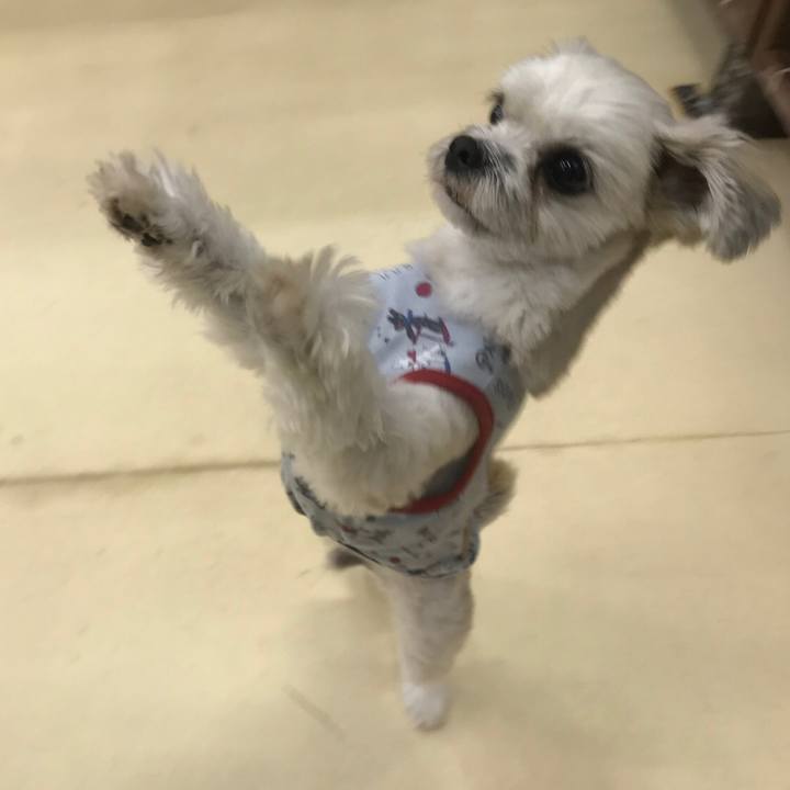 740aad3b 3c10 4298 a2bf 02952c24d5f5 1545186552917