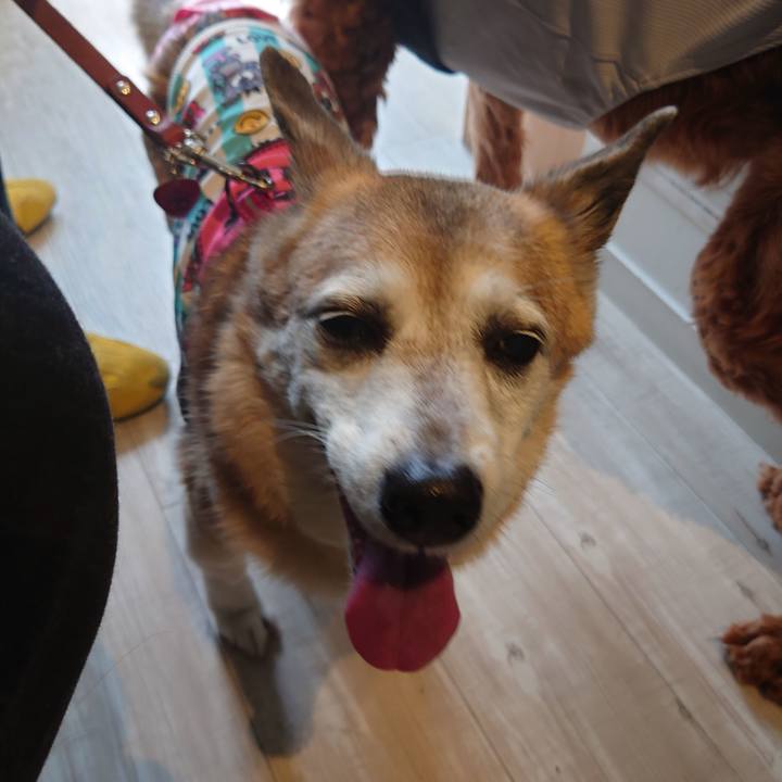 740b01b2 5f98 4c27 949d f28d68a66281 1715556973731