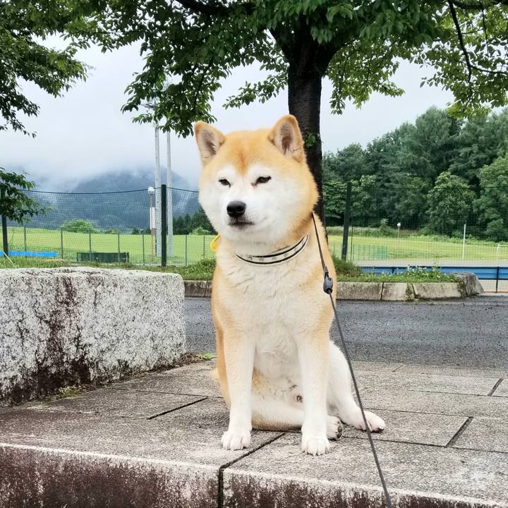 740b0e7e 630d 4bef a078 763b0554c3ad 1592525048305