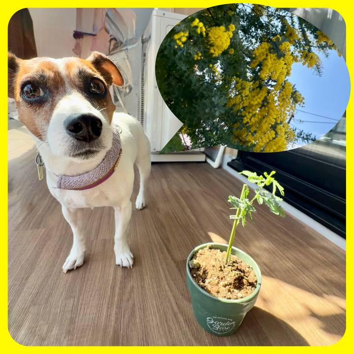 740b5d0e 5e5e 4049 b39c ab1e1e6a1f6e 1772692414844