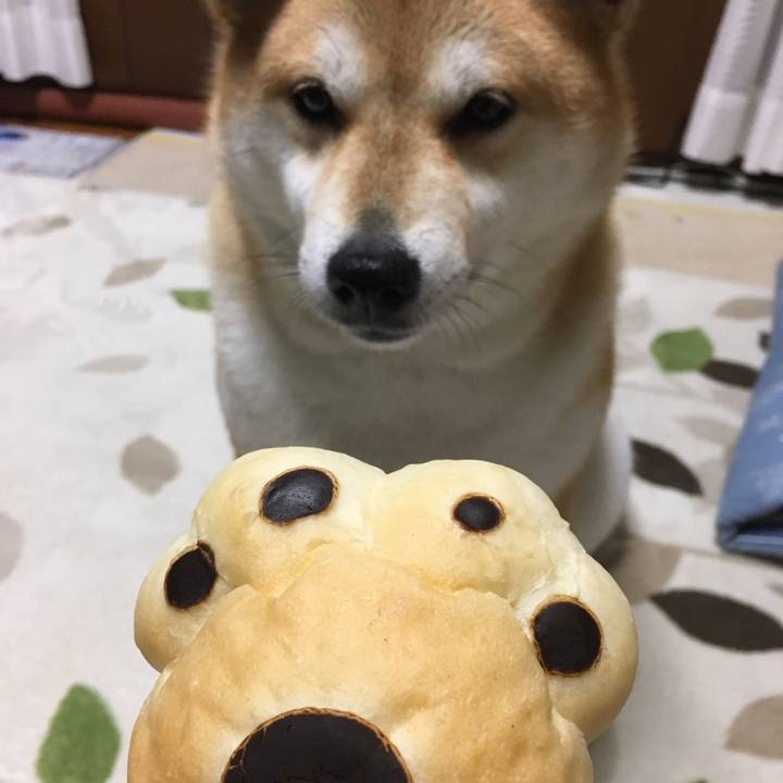 740b5f01 ec48 40c4 b846 358722d86677 1542358769907