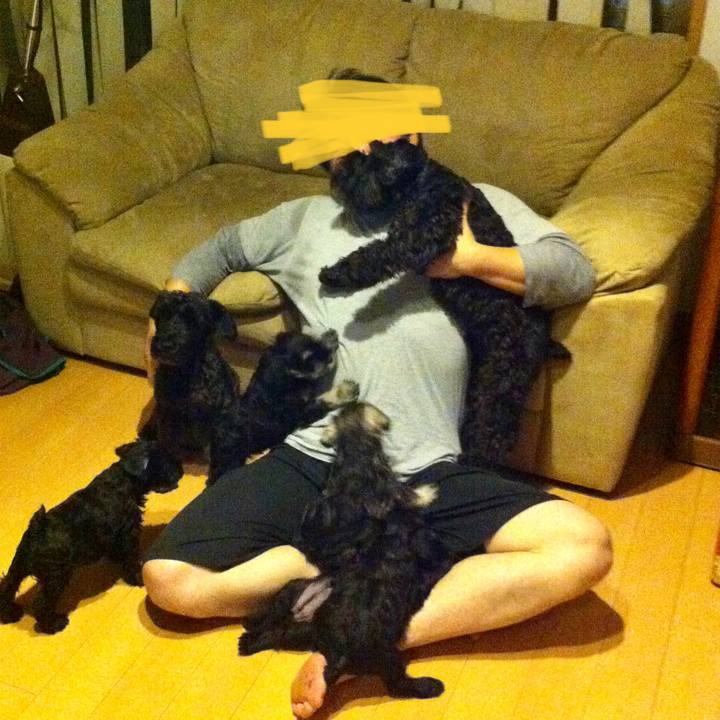 740b7cb3 31d0 4788 920e cdce4566a601 1588384349292