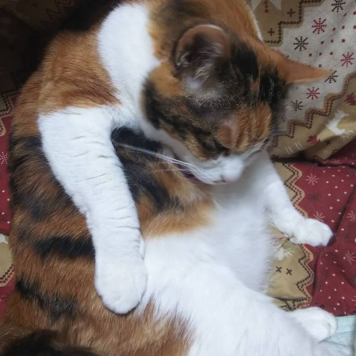 740b9ceb fb40 4f37 aa57 7209f7877685 1560953324392