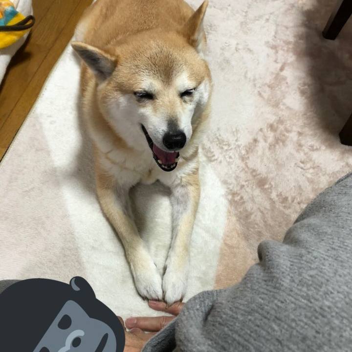 740ba8fb 8505 407a 98a8 a2042fad7f0e 1584712791018