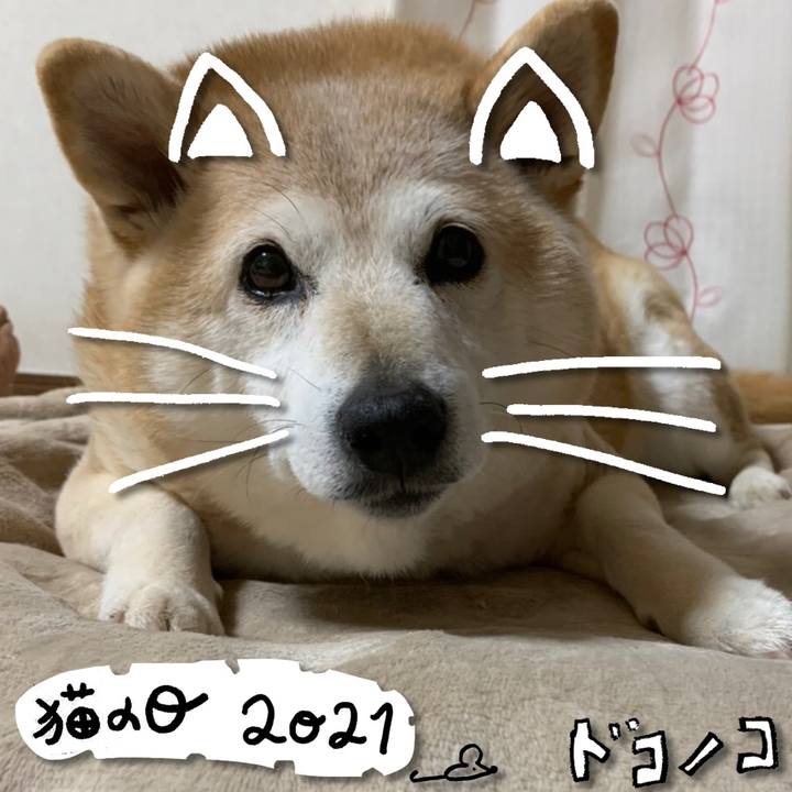 740ba936 8c3d 4657 9d7d 80256464d954 1613997964471