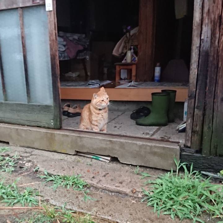 740bbfae 0910 4c16 8ce5 8e209ce5c49a 1656279181371