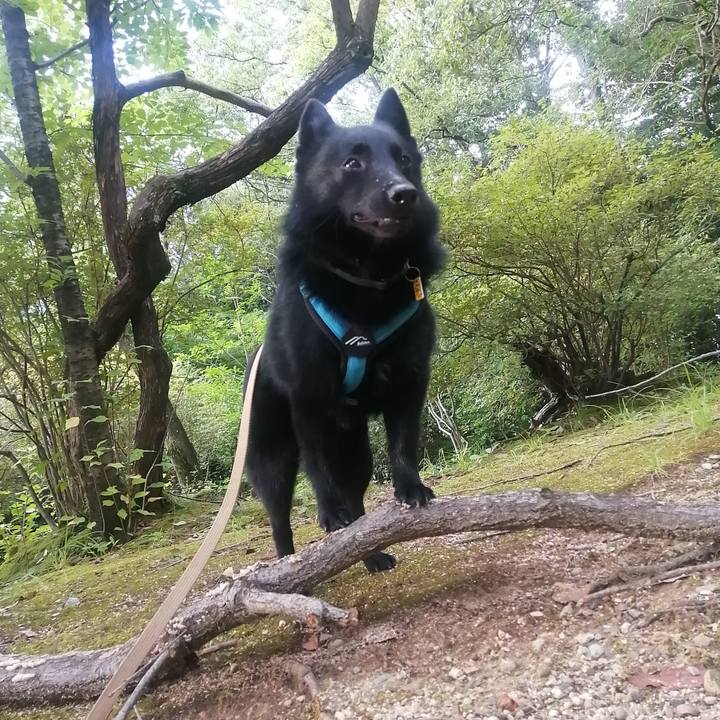 740bee13 943b 464c b89a 54c20b52450f 1660944494822